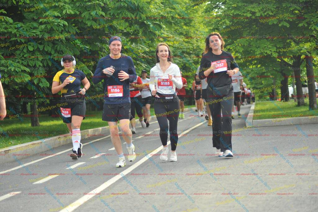 528, 5186, 187, 5185