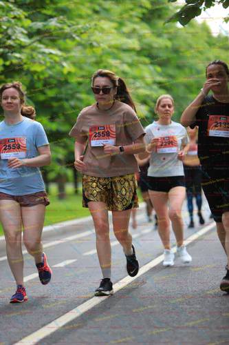 2558, 213, 229, 2553