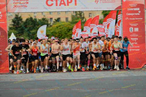 5954, 3650, 530, 608, 5322, 587, 5313, 6000