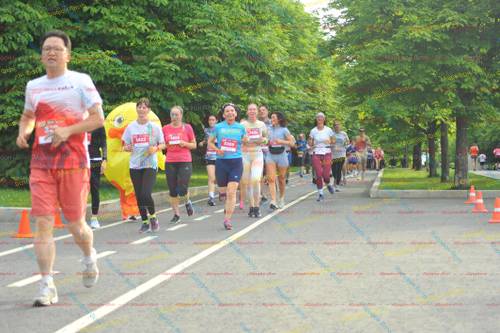 3, 5309, 5822, 5855, 5824