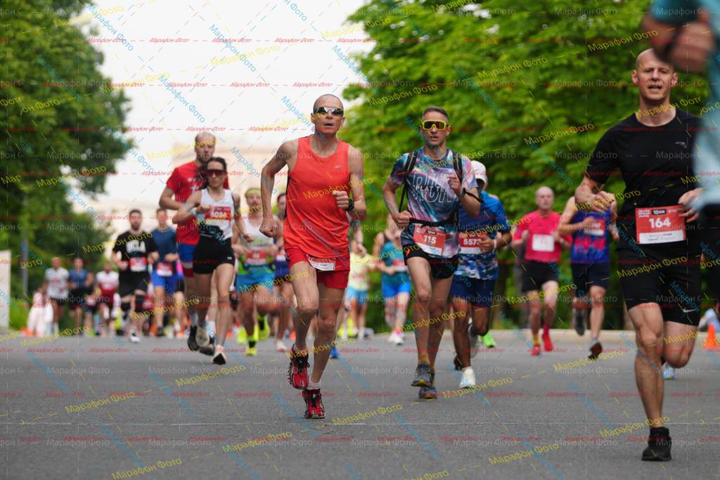 115, 164, 5573, 5036