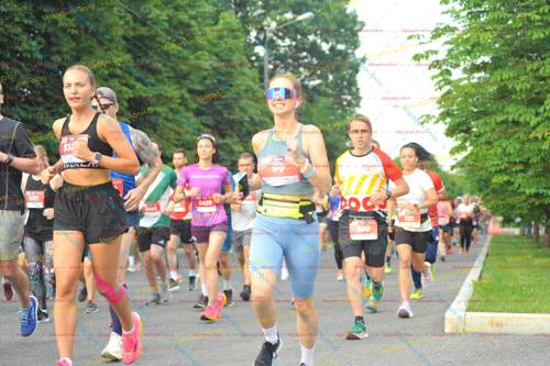 360, 99, 53, 5428, 231