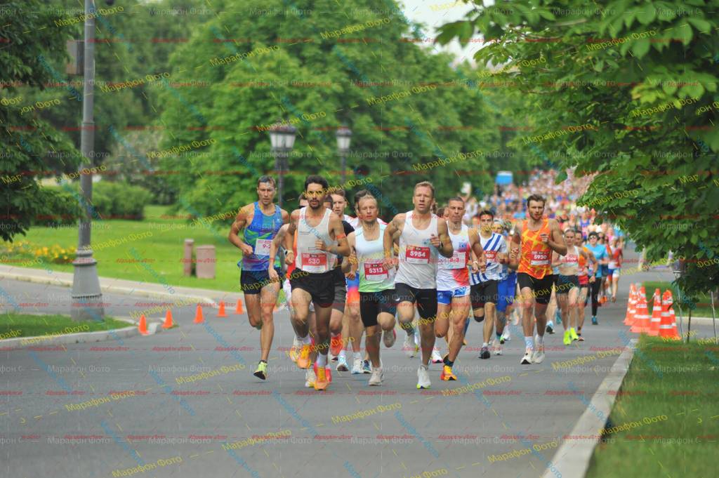 2, 530, 5954, 300, 5313, 5930, 83, 5304