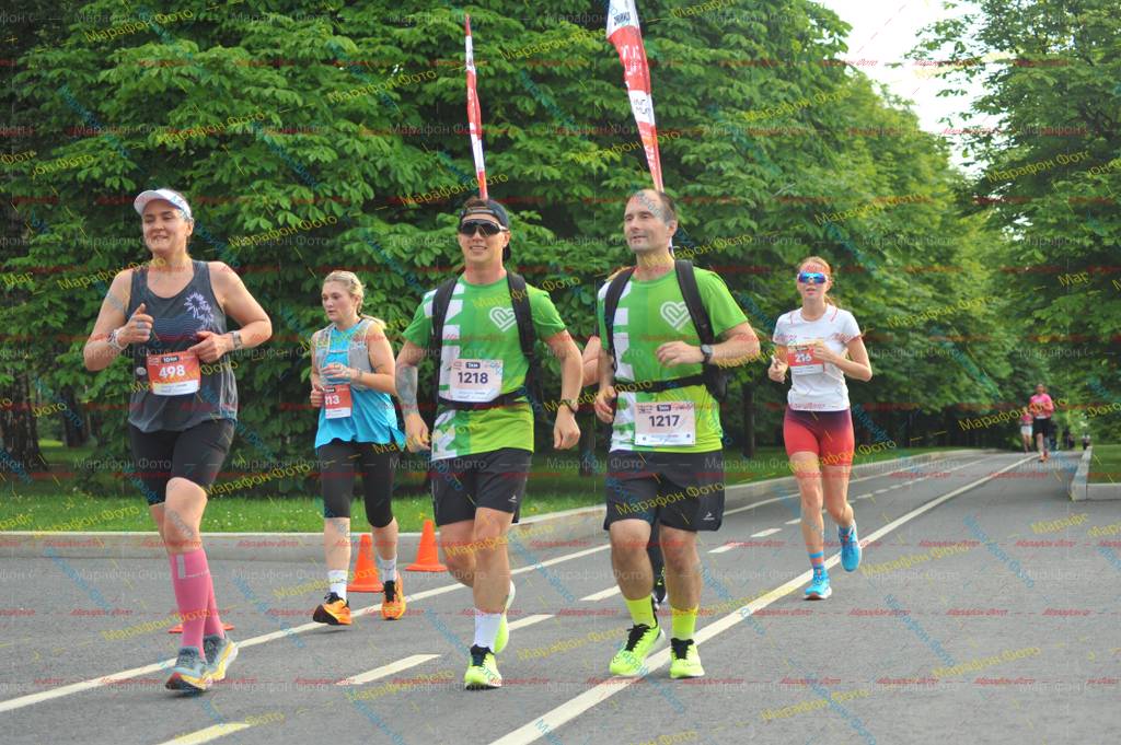 216, 1217, 498, 1218, 213