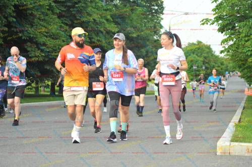 5914, 5050, 5397, 106