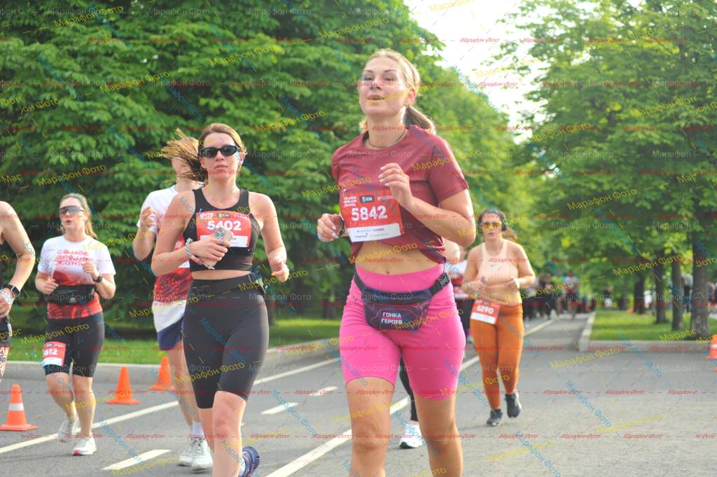 612, 290, 5402, 5842