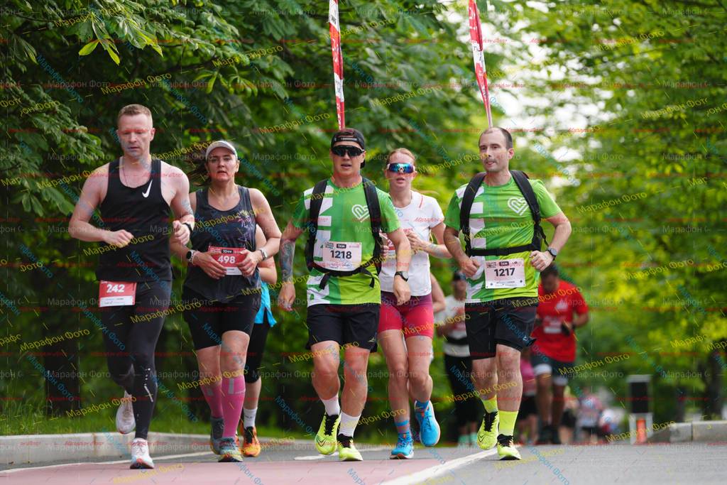 242, 1217, 498, 1218