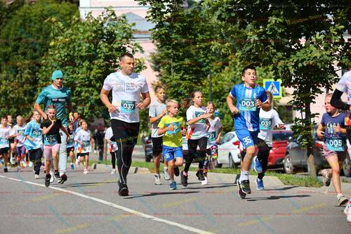 037, 003, 221, 005, 034, 690, 089, 039