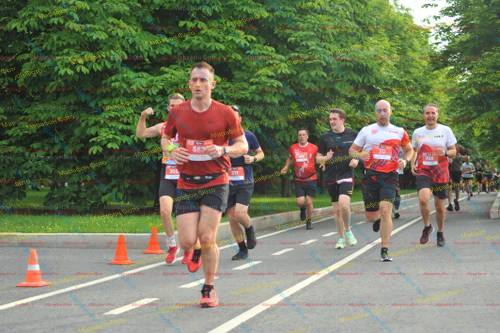 50, 326, 553, 211, 202