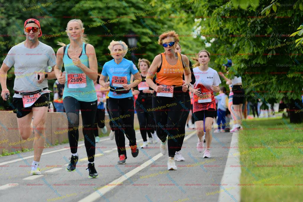 2134, 086, 2589, 72379, 2586