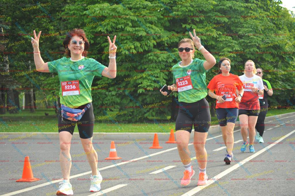 216, 5481, 5223, 5236