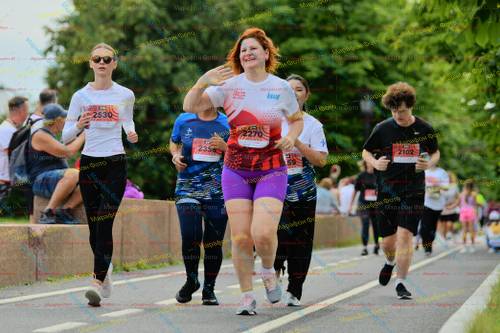 2102, 2530, 2270, 235