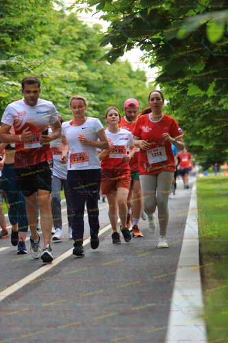 1213, 83, 2439, 2373