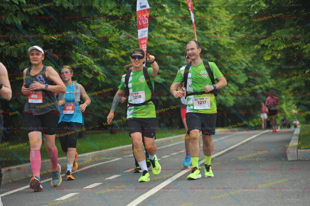 498, 1217, 213, 1218