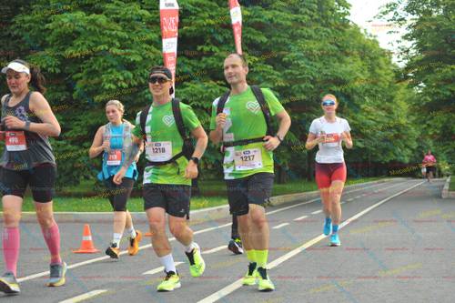 1216, 1217, 498, 1218, 213