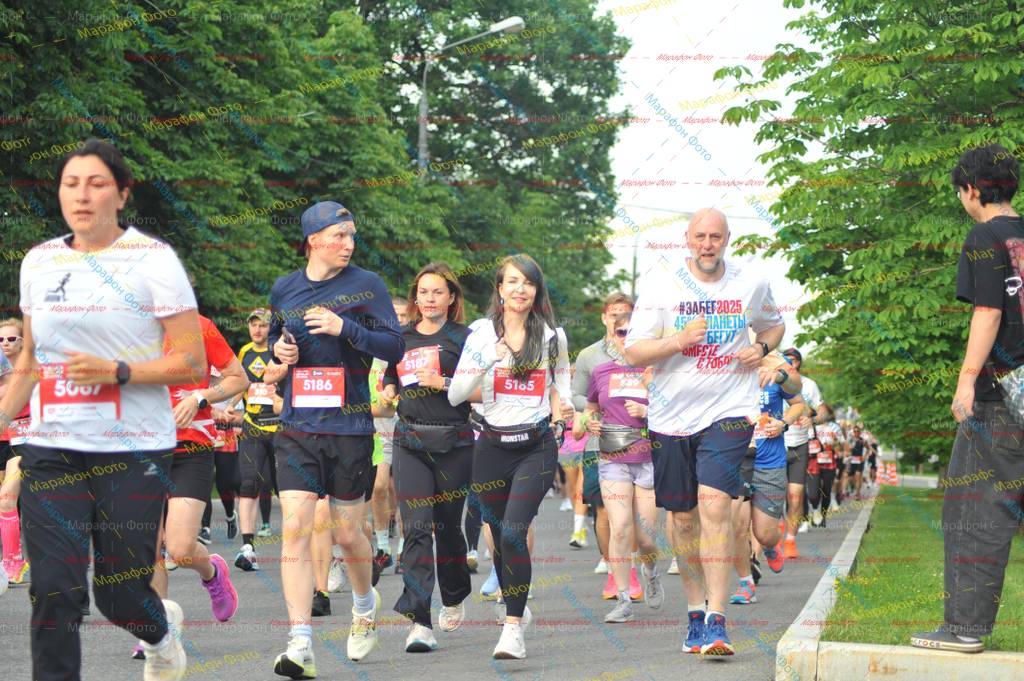 36, 5185, 5186, 2025, 5187