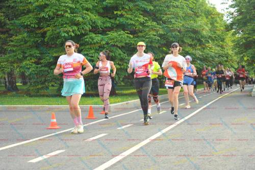 5006, 407, 5344, 5845